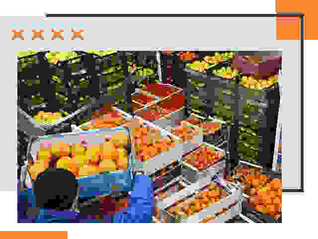 Перевозка скоропортящихся продуктов в Александрове
